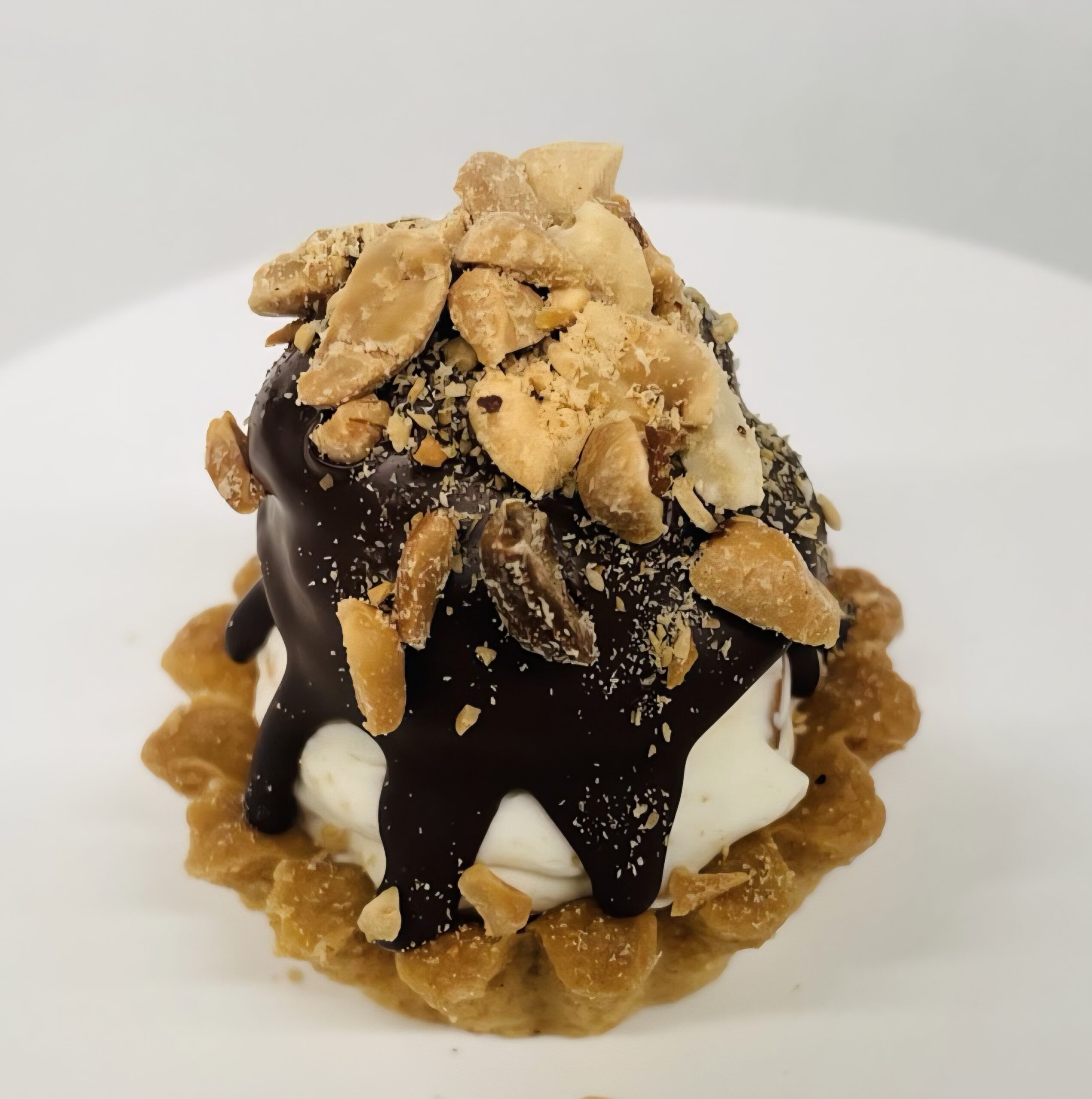 IMG-ae4e9d06b047834312a0db511bc821a2-V